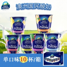 dairy farmers澳洲原装进口酸奶牛奶田园草莓味150g*10杯