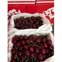 上新价！澳洲红袋鼠新南威尔士车厘子2kg礼盒装 澳洲水果樱桃  精美礼盒送礼