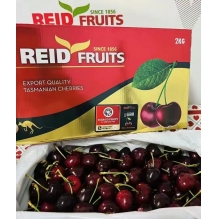  澳洲顶级Reid FRUITS(塔斯马尼亚州）金袋鼠水果车厘子大樱桃2KG（4斤） 果园直发 澳洲进口 顺丰冷链直邮包邮  