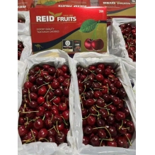  澳洲顶级Reid FRUITS(塔斯马尼亚州）金袋鼠水果车厘子大樱桃2KG（4斤） 果园直发 澳洲进口 顺丰冷链直邮包邮  