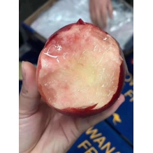  澳洲水蜜桃软甜多汁进口水蜜桃10-12粒装 约1800-2000g