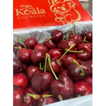 【上新特批价】新包装澳洲koala考拉车厘子 樱桃2kg礼盒装  金色红色包se装随机