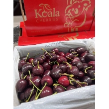 【上新特批价】新包装澳洲koala考拉车厘子 樱桃2kg礼盒装  金色红色包se装随机