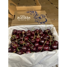 【上新特批价】新包装澳洲koala考拉车厘子 樱桃2kg礼盒装  金色红色包se装随机