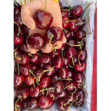 澳洲cherryhill车厘子2kg礼盒装 澳洲樱桃 尝鲜送礼