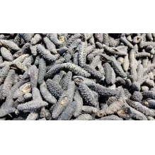 澳洲野生海参全刺黑刺参A级500g 