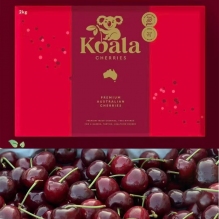 【上新特批价】新包装澳洲koala考拉车厘子 樱桃2kg礼盒装  金色红色包se装随机